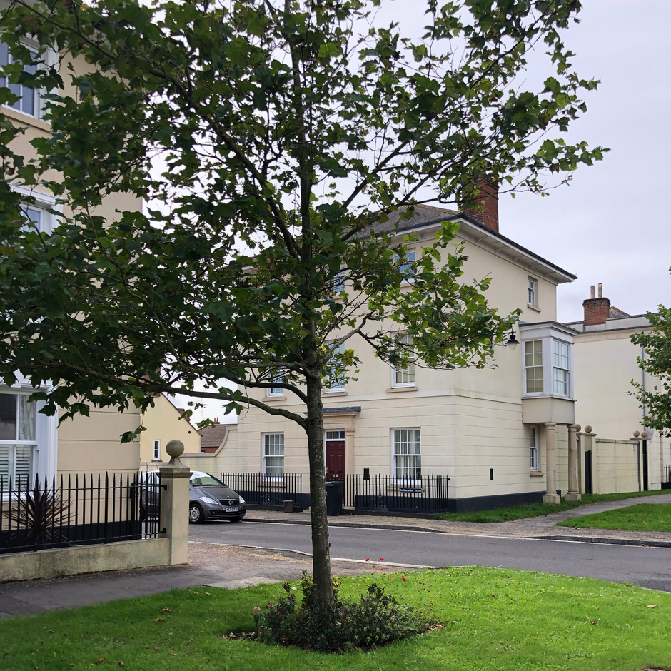 Dorchester Poundbury project with tree planted on street