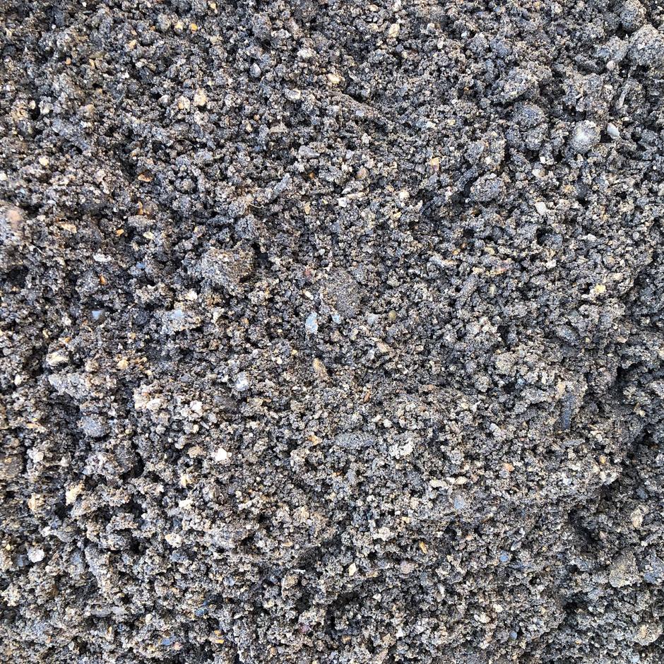 Wessex Dutch Tree Sand up-close