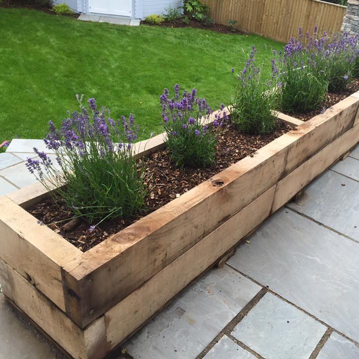 garden sleepers used as raised plant bed with lavender 