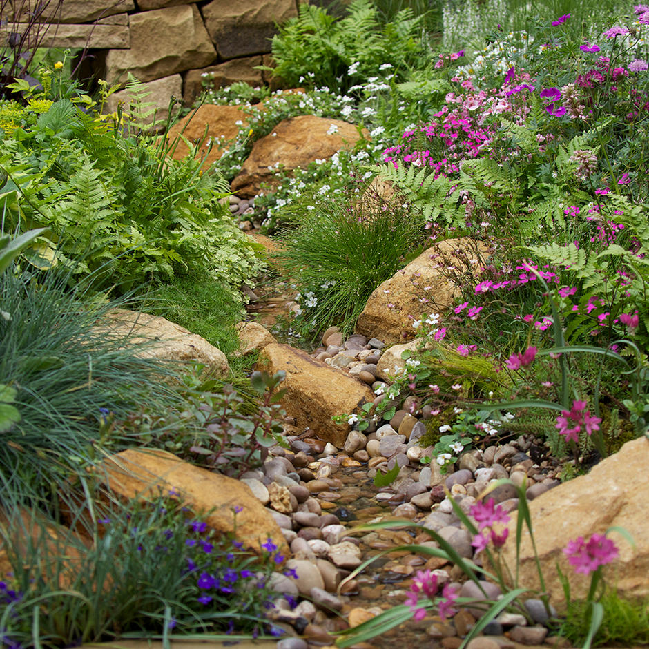 Staffordshire Pink 20mm garden pond