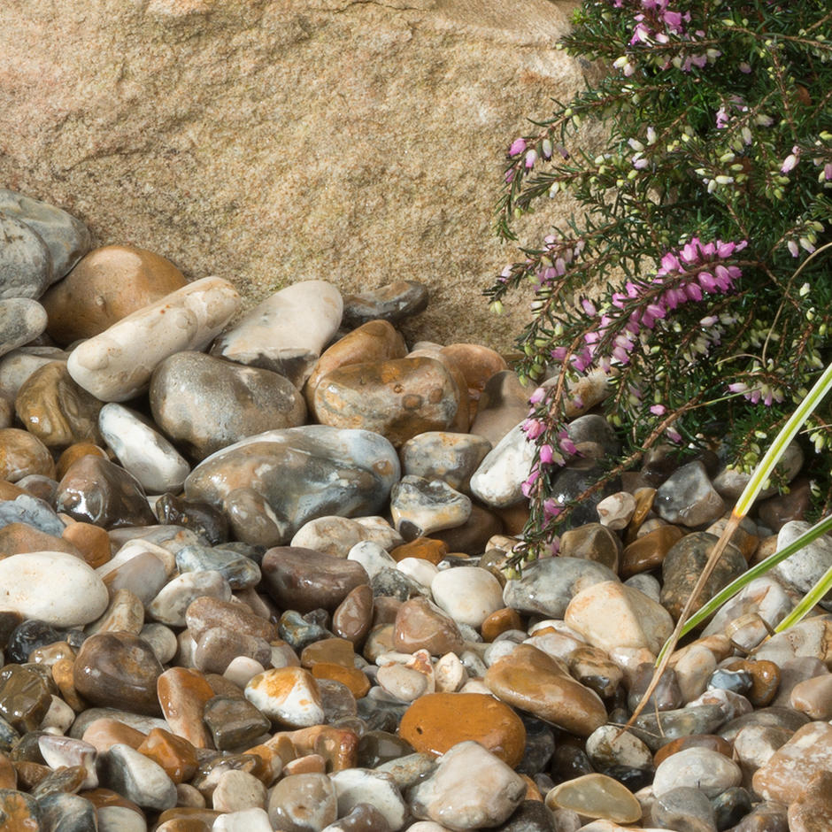 Oyster Shingle 20mm with sand and rockery