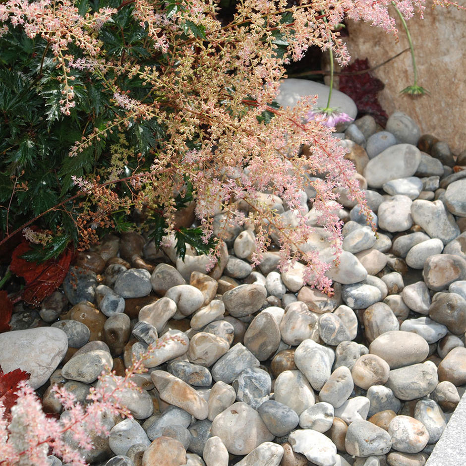 Oyster Shingle 20mm garden feature with plants