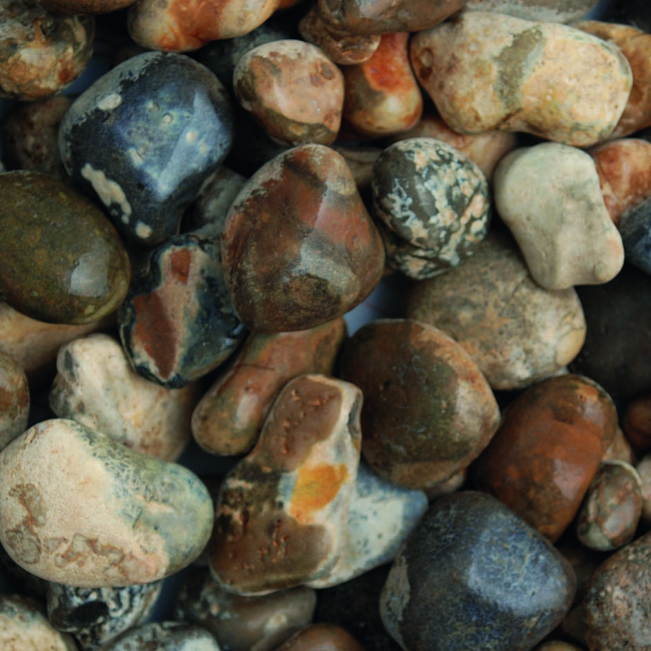 Oyster Shingle 20-40mm up-close wet