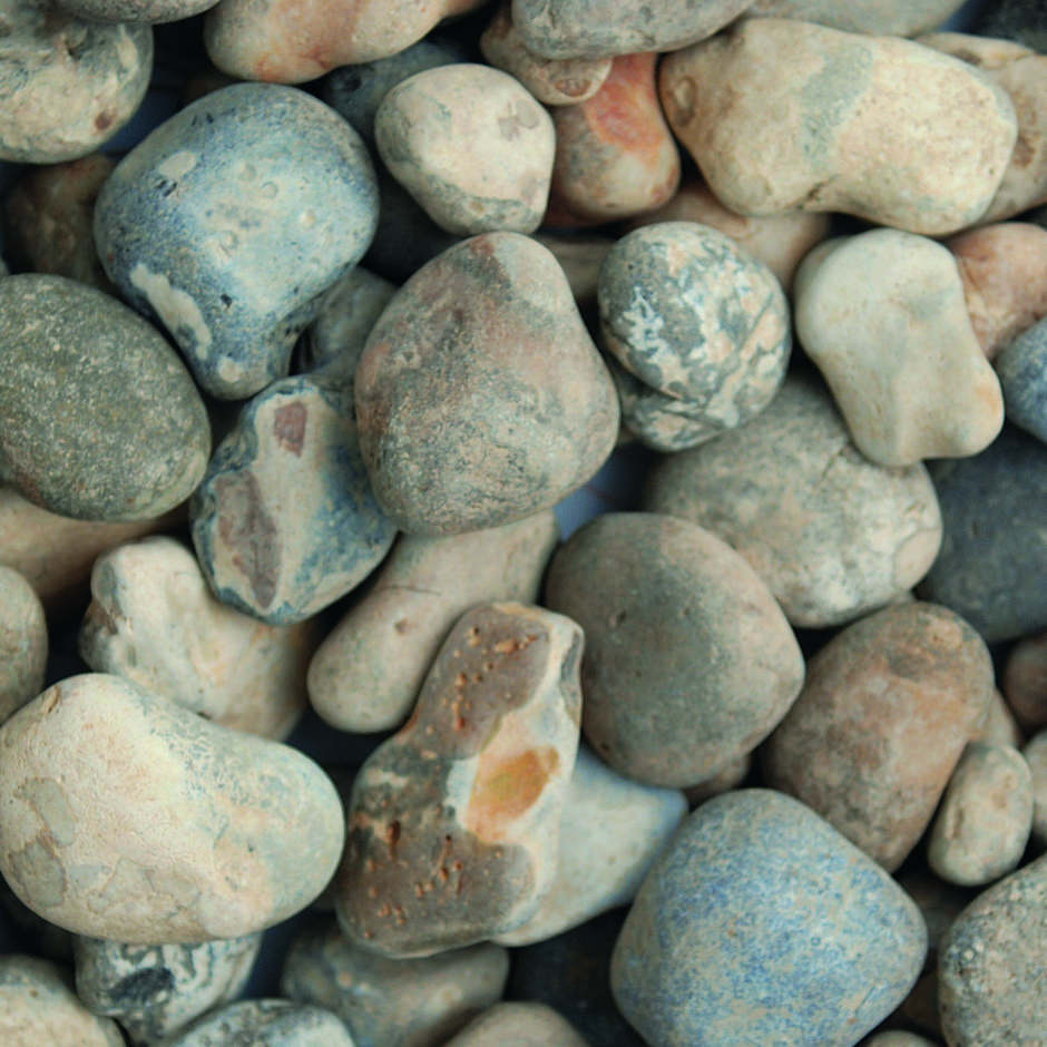 Oyster Shingle 20-40mm up-close dry