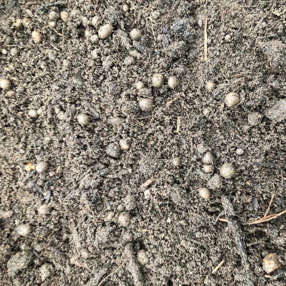 10mm LECA Soil up-close