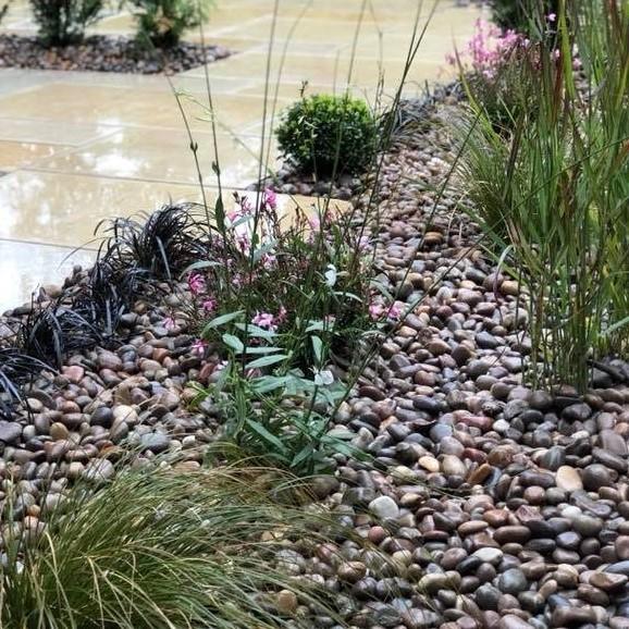 Scottish Pebbles 8-14mm in plant bad border