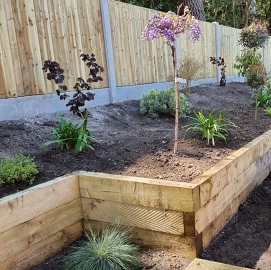 french oak sleeper beds with plants