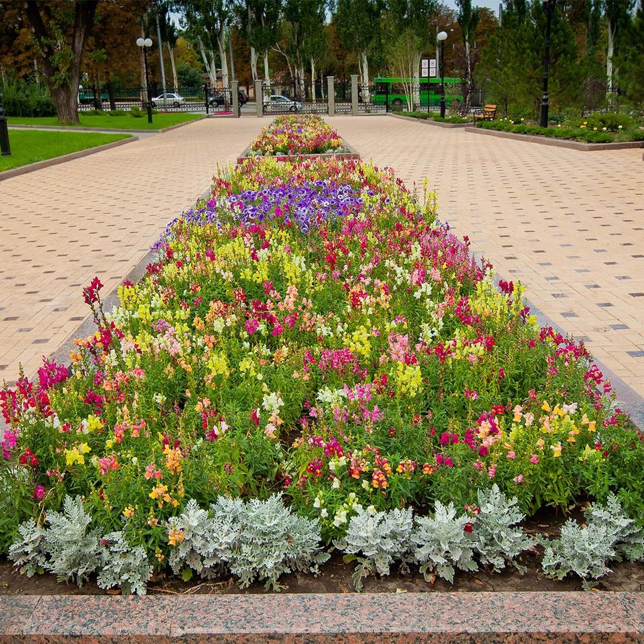 Borders & Beds 10mm Topsoil in raised flower bed