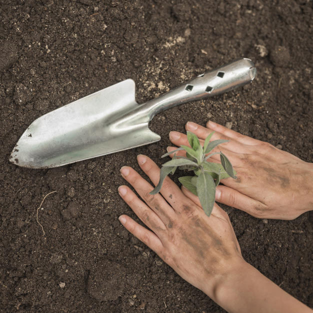 Hands patting down plant bed topsoil