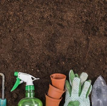 Wessex® Peat Free Multi-Purpose Compost