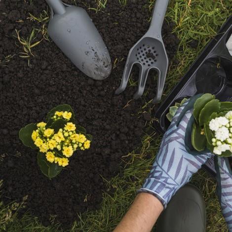 gardener planting flowers in compost soil mix