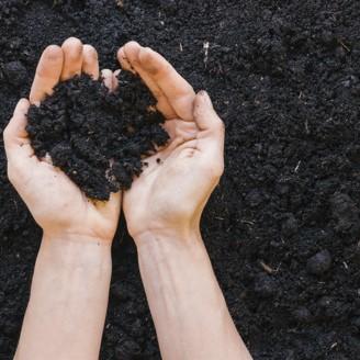 Wessex® Fruit & Veg Topsoil garden soil