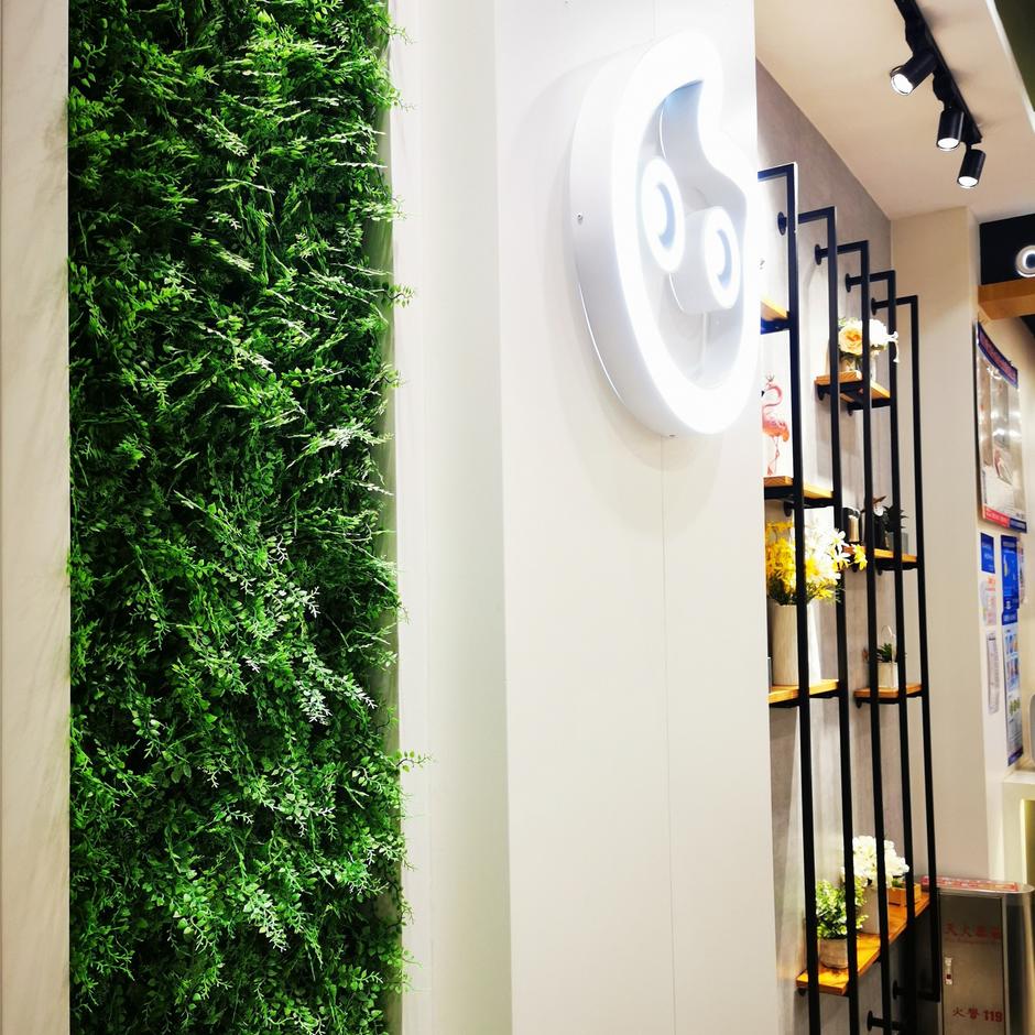 fern living wall in home