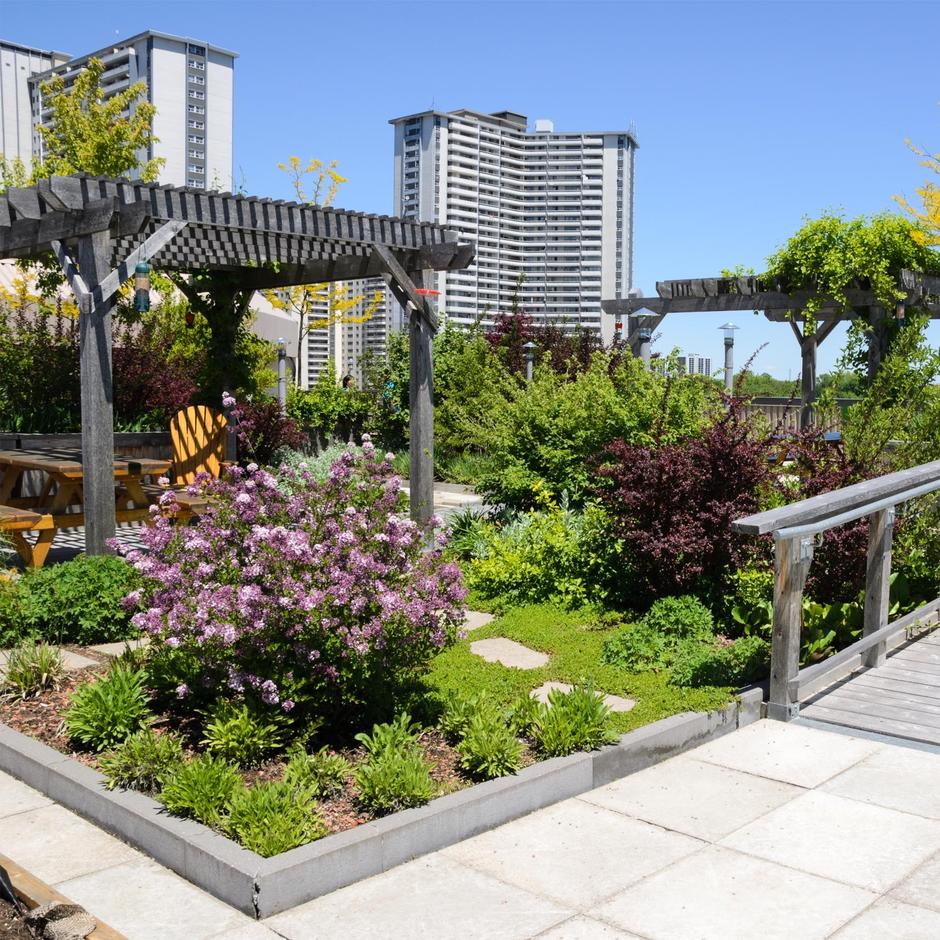 Large rooftop garden with plants and flowers