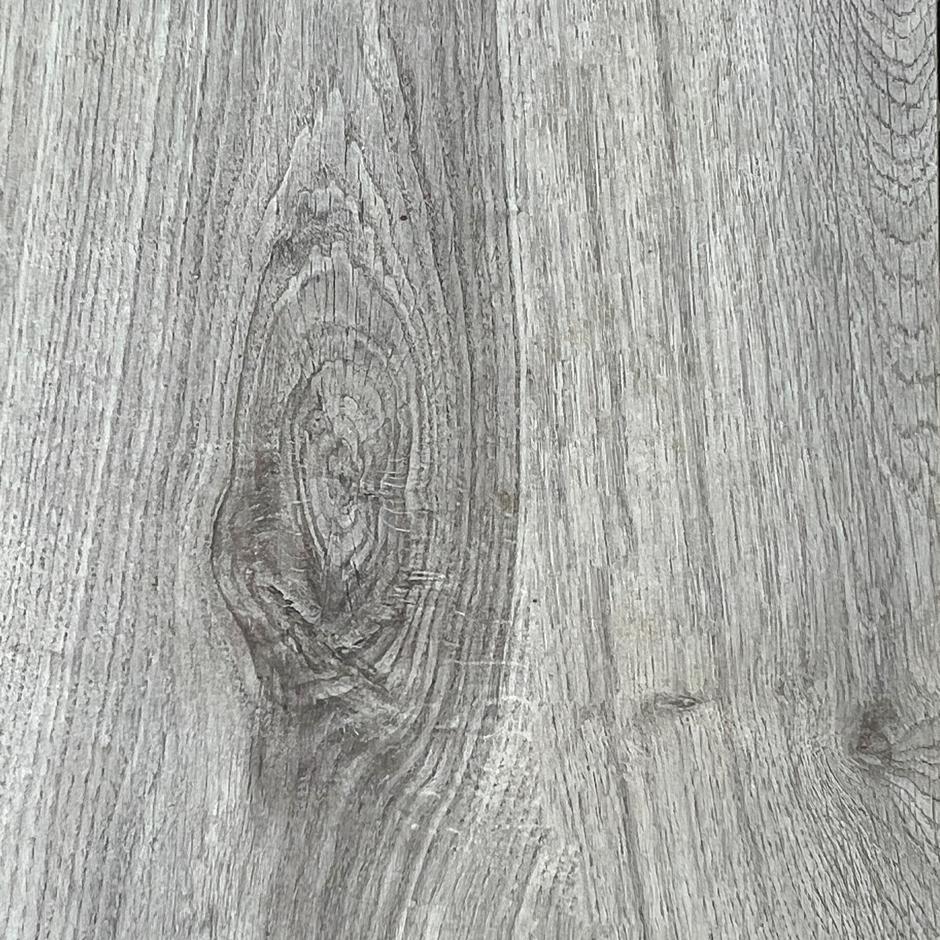 Woodland Silver Birch Dark Porcelain Paving Planks