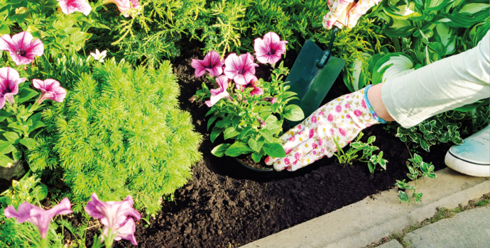 soils and mulches used for plant beds