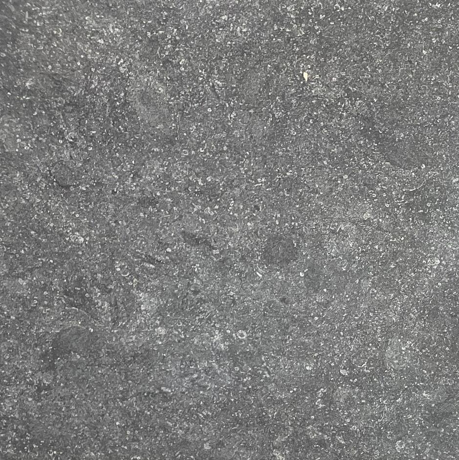 Jurassic Scuro Porcelain Paving slab up-close