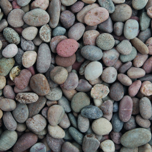scottish pebbles 14-20mm up-close dry