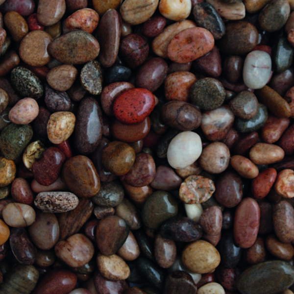 scottish pebbles 14-20mm up-close wet