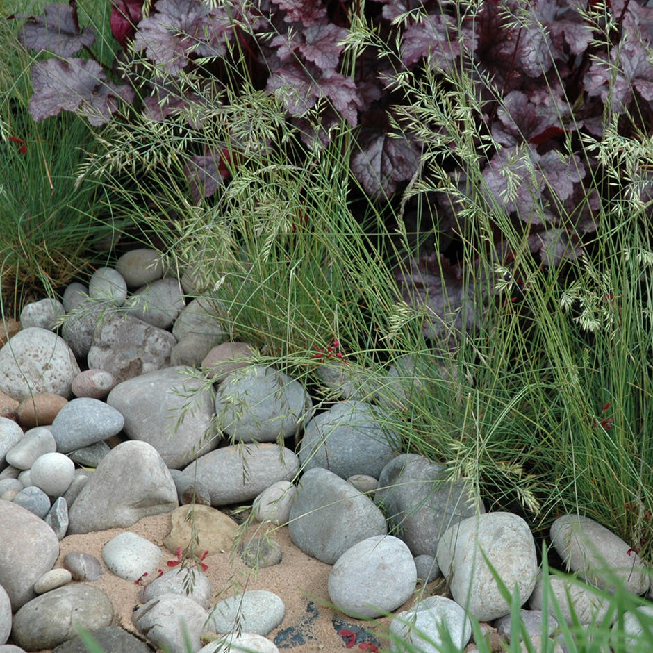 Scottish Pebbles 50-80mm garden feature with grass
