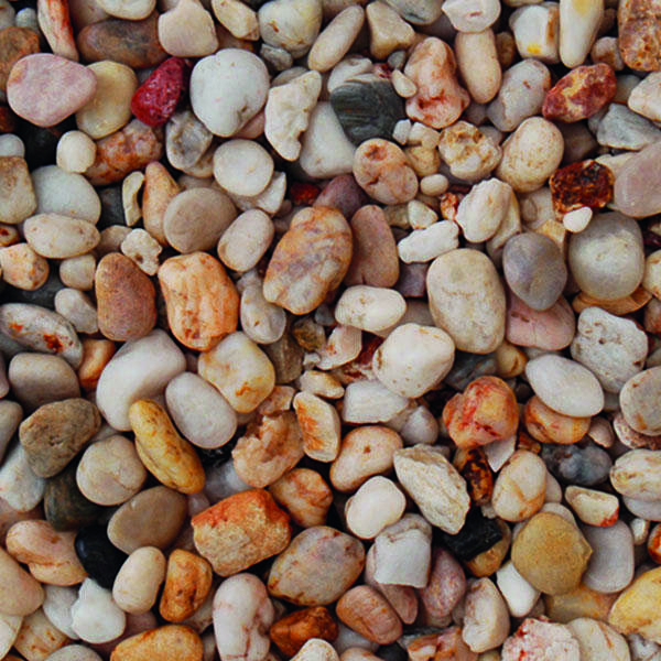 14-22mm Apricot pebbles up-close wet
