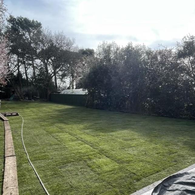 Wessex® Turf Rolls; turf grass in back garden