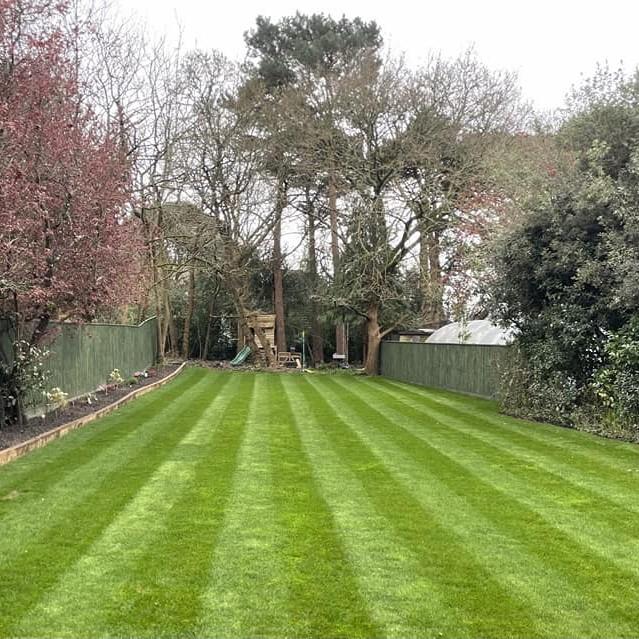 Wessex® Turf Rolls, bright green, fresh turf grass