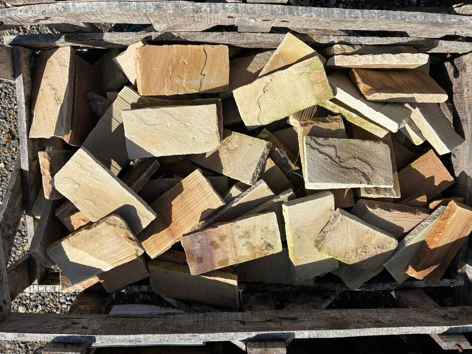 golden fossil 200 x 100 setts on sale