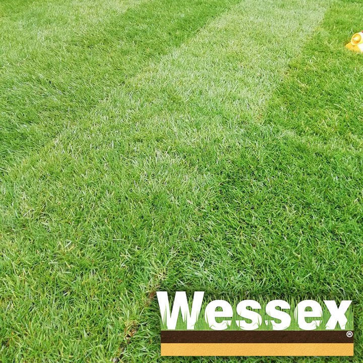 Wessex® Coolfresh Turf with logo