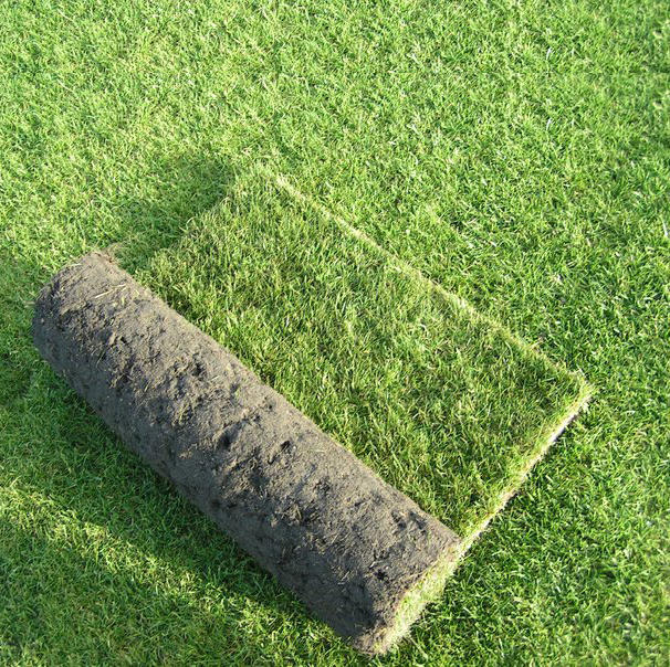 Wessex® Turf Rolls