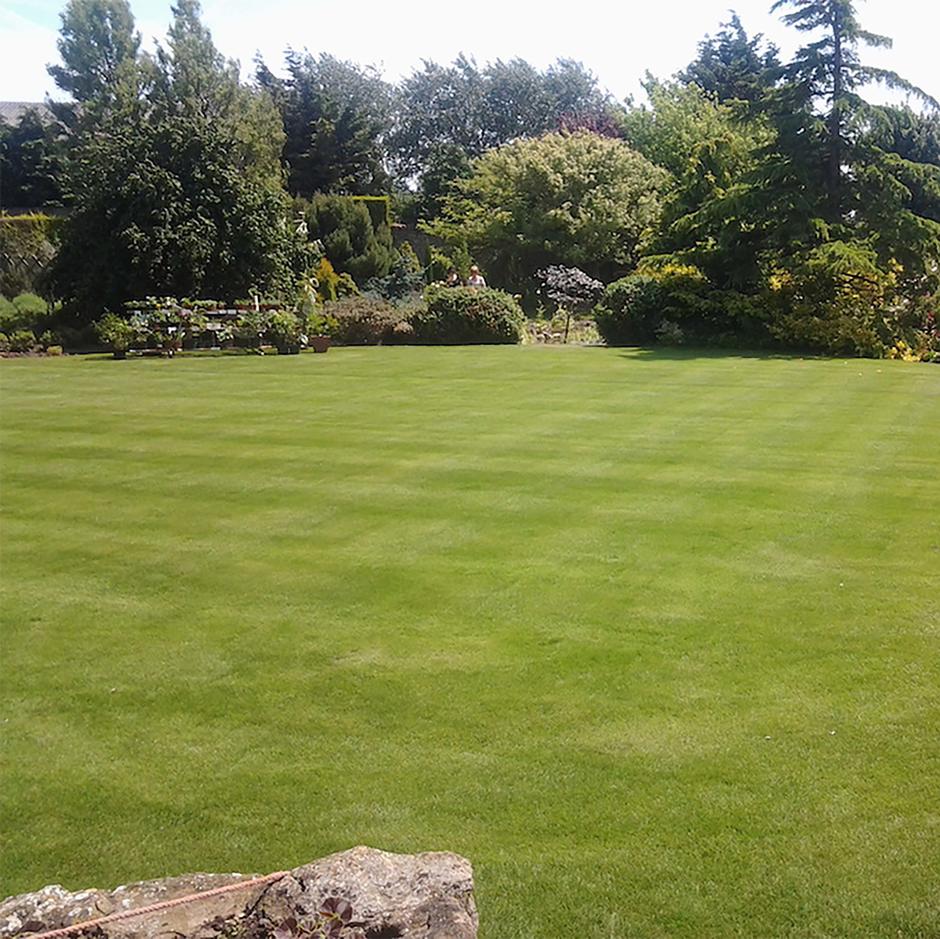 Wessex® Coolfresh Turf in field